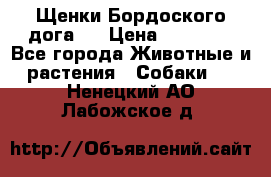 Щенки Бордоского дога.  › Цена ­ 30 000 - Все города Животные и растения » Собаки   . Ненецкий АО,Лабожское д.